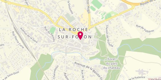 Plan de Histoires Sans Fin, 47 Rue de Silence, 74800 La Roche-sur-Foron